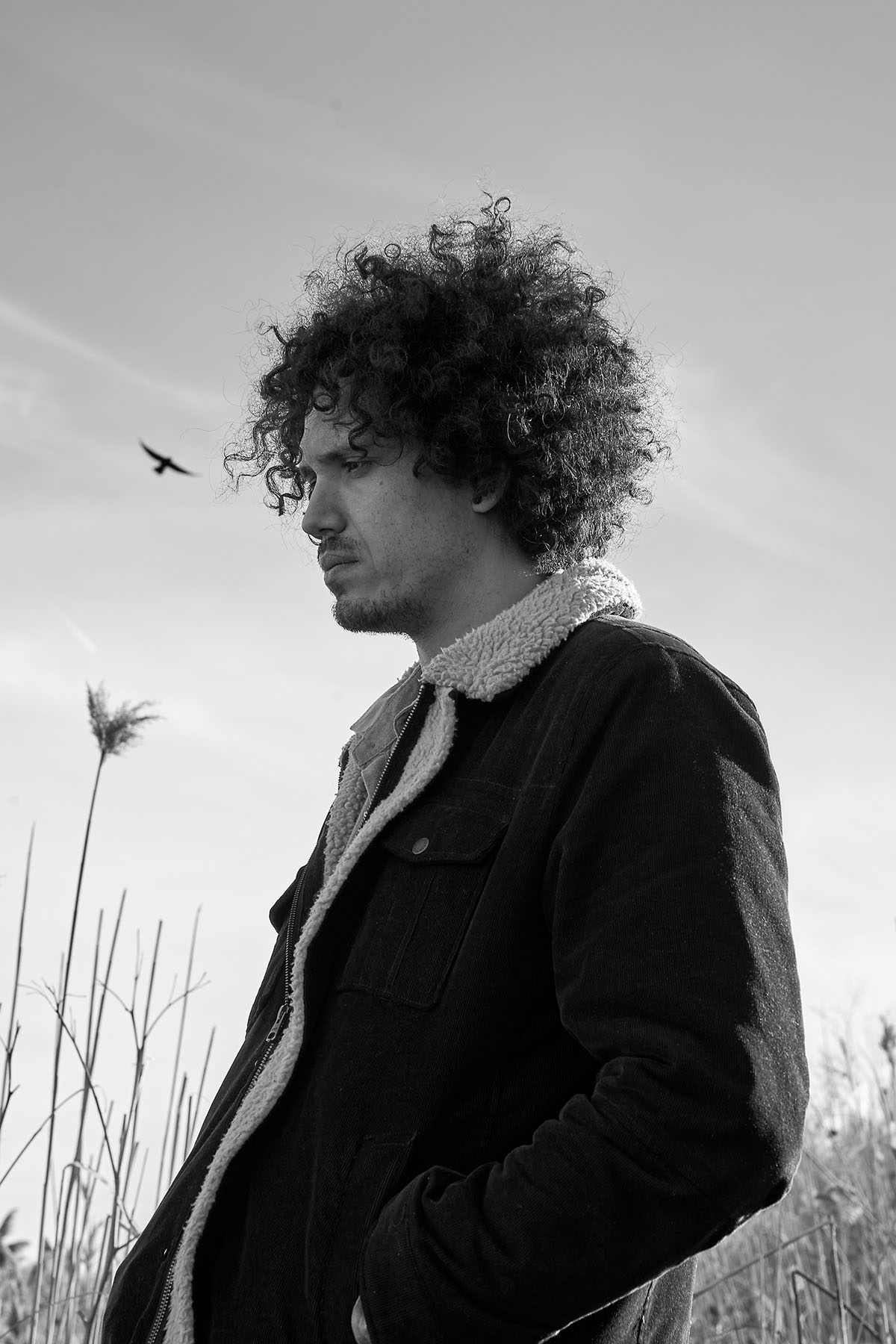 Portrait 8